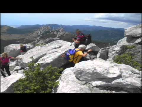 Kiza - Ljubičko brdo - 15.6.2014. - 2/2