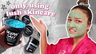 i only used LUSH skincare for 30 days