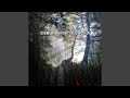 Beautiful Binaural Beats