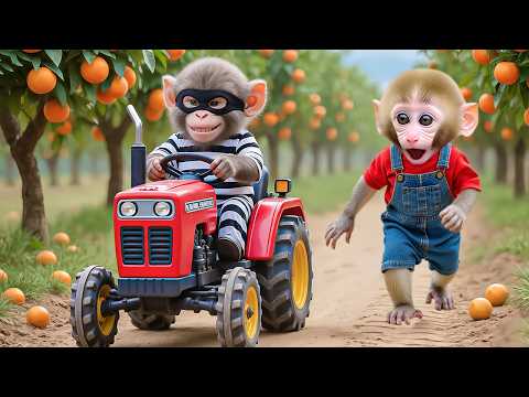 🚨Monkey Nana Drives a self-Made tractor to the Farm, Encounters a Thief and a Thrilling Chase Begins
