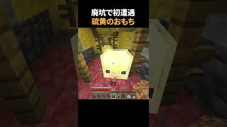 廃坑で初遭遇した硫黄キューブが可愛すぎた