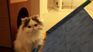 (Each other, that is.)