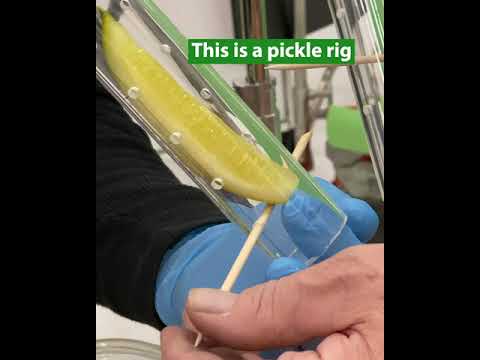 PICKLE RIG  BTS LAYS tv commercial #shorts