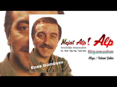 Nejat Alp - Sensizliğe Alışamadım - Yüksek Kalite - 1985 #Etiketçilere