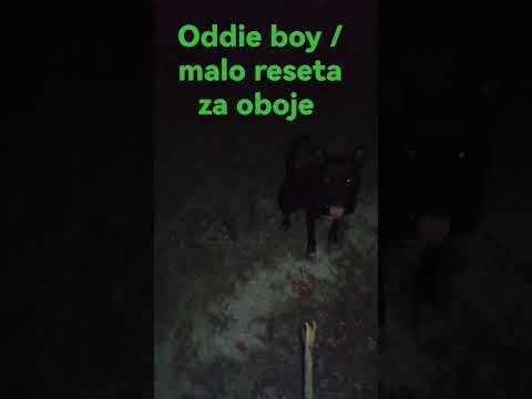 ... sve 5 al okolo ova neka koltrina, kill Bill 🌴🌴🌴