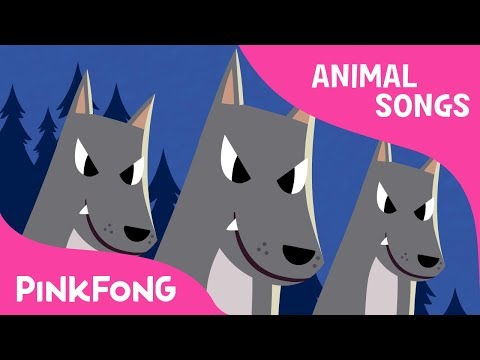 Night Animals | Animal Songs | Pinkfong Songs for Children