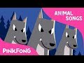 Night Animals Animal Songs Pinkfong Songs For Children