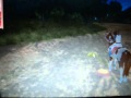 Planet Horse Demo 