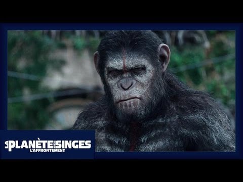 La Planète des Singes : L'Affrontement - Extrait Les singes ne veulent pas la guerre [Officiel] VF