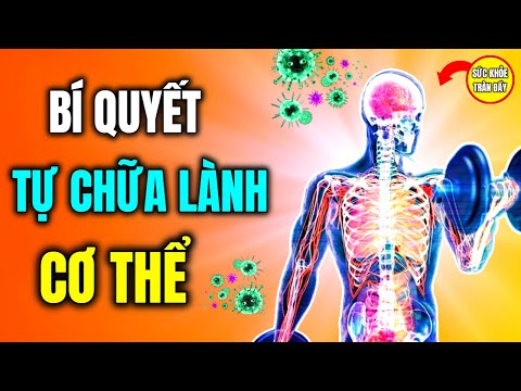 Tự Chữa Lành Cơ Thể Chìa Khóa Vàng Cho Sức Khỏe Của Bạn - Bí Quyết Sống Thọ
