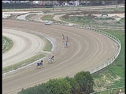 Trotto 05/11/2017 - Minitrotter