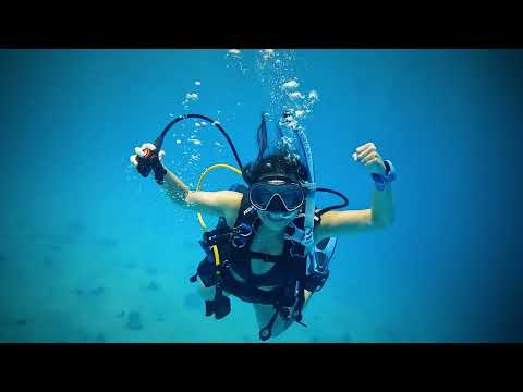 tour video on youtube