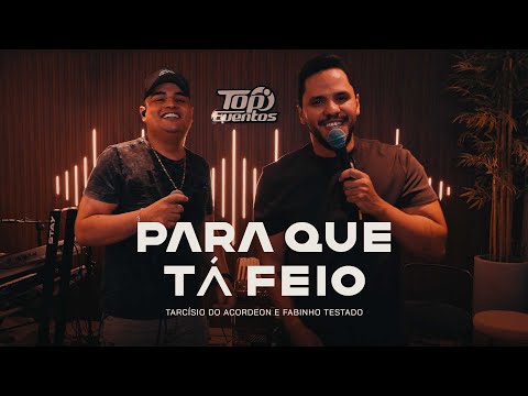 Tarcisio do Acordeon and Fabinho Testado
