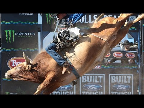 TOP BULL:  Percolator Bucks off Emilio Resende (PBR)
