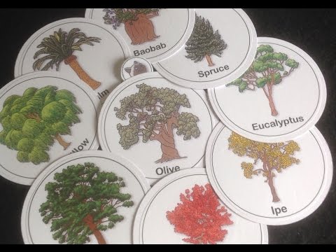 Box of Delights Previews....................... Barking Up The Wrong Tree