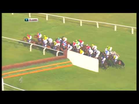 2012 Coral Cup - Cheltenham Festival