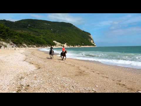 Cavalli dal Corbezzolo a San Michele - Sirolo