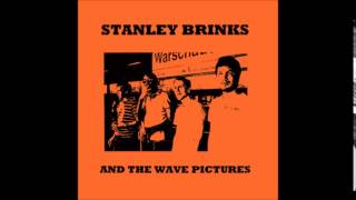 Stanley Brinks and The Wave Pictures - Hi, Jane