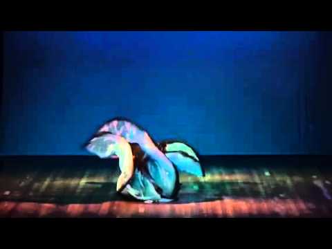 1º lugar Duo Moderno véu wings- CIAD Bauru 2015- Escola Mabruc