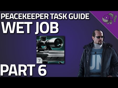 Wet Job Part 6 - Peacekeeper Task Guide - Escape From Tarkov