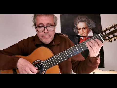 Ferdinando Carulli, Waltz in E minor Op 27