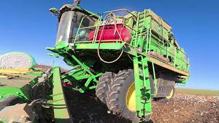 2025 Cotton Harvest