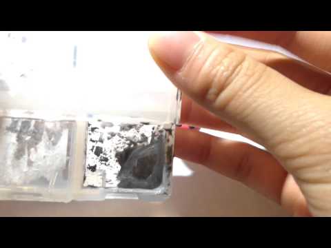 Tutorial: Ladybug Cupcake