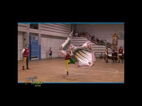 Singolo eliminatorie GUSELLA A. - Tenzone Aurea - Senigallia 2008