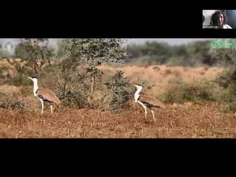 Virtual Symposium IV - The Habitats Trust Grants 2021