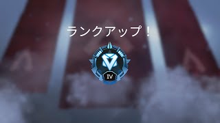 apex交流会カスタム！！！-apex legends-