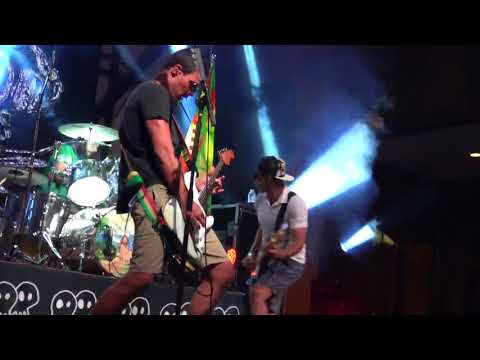 Hos video
