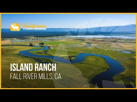 Island Ranch Fall River Mills Ca