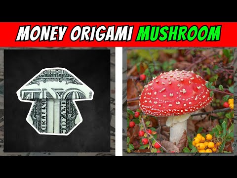 How to Make a Money Origami Mushroom - Perfect Gift Idea!