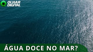 Miniatura do vídeo