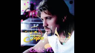 Billy Ray Cyrus  ~  We The People