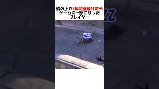 5年間ゲームの橋の上で寝てNPCになったプレイヤー