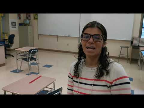 Hopper Popper Virtual Lab