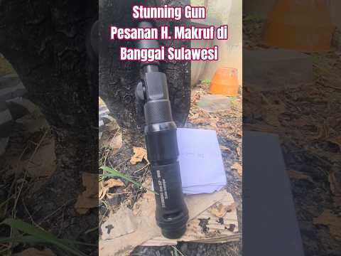 Jual Stunning Gun ISP1000