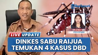 4 Kasus DBD Terdeteksi pada Januari 2026, Dinkes Sabu Raijua: Semuanya di Kecamatan Hawu Mehara