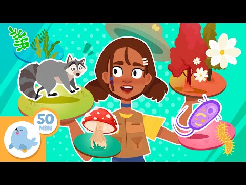 🦠 Living Things for Kids 🐸🌻 50-Minute Compilation