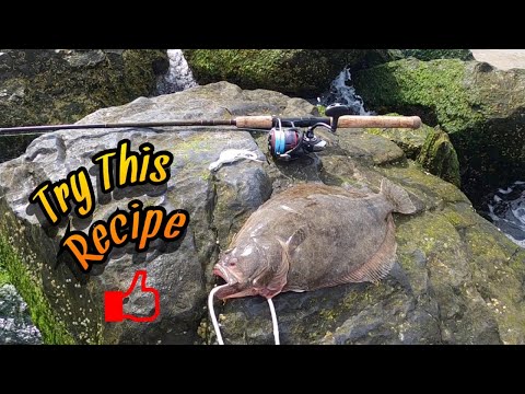 Great Day Fluke Fishing! Catch And Cook FLUKE!