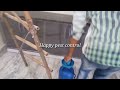 Termite Tritment Happy Pest Control