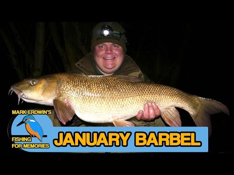 Chub fishing the river Loddon - Big Barbel Chub & Trout (Video 49)