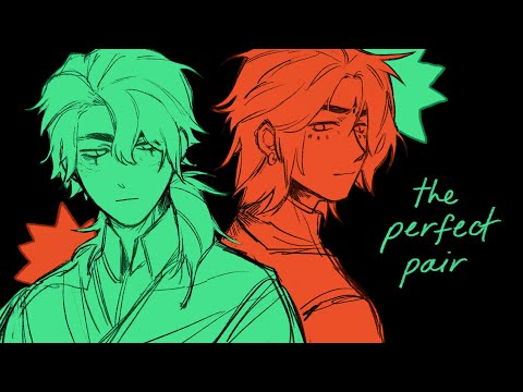 the perfect pair - oc animatic
