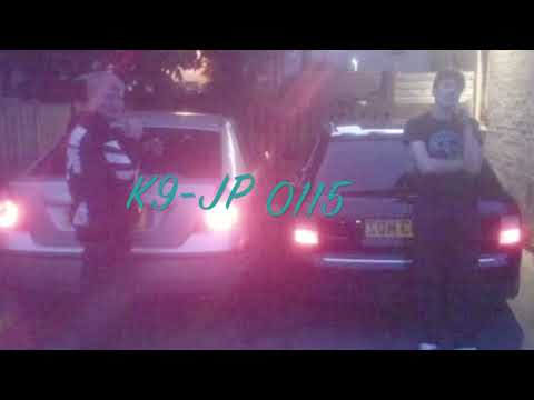 JP x K9 0115 - Changes