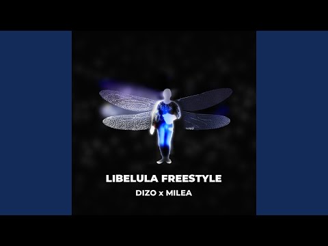 LIBELULA Freestyle (feat. Cosmin Milea)