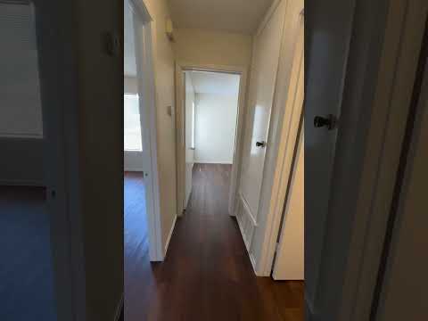 T079 TURT - Video 2 of 2