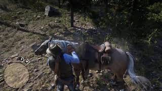 RDR2 Get back to any camp fast in Red Dead Redemption 2.