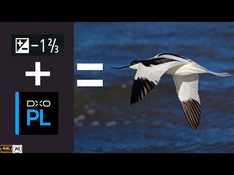 DxO Photolab 9, EASY Settings To Avoid Blowing Highlights.