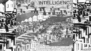 THE INTELLIGENCE :.: "The Universe"